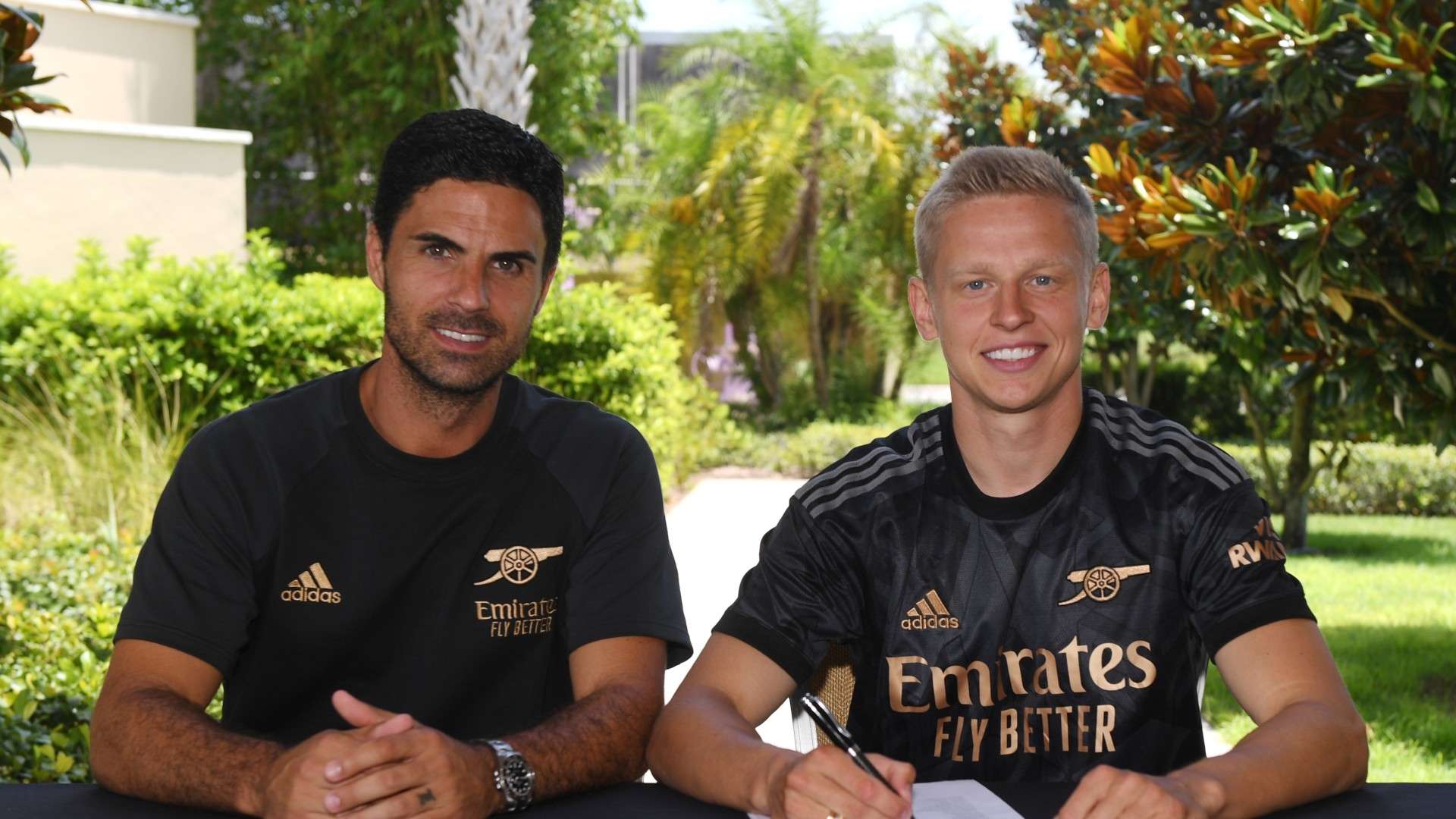 艾维心理调 艾维心理调