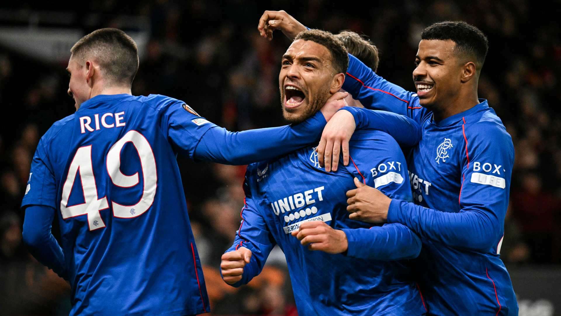 的观赏性和 的观赏性和