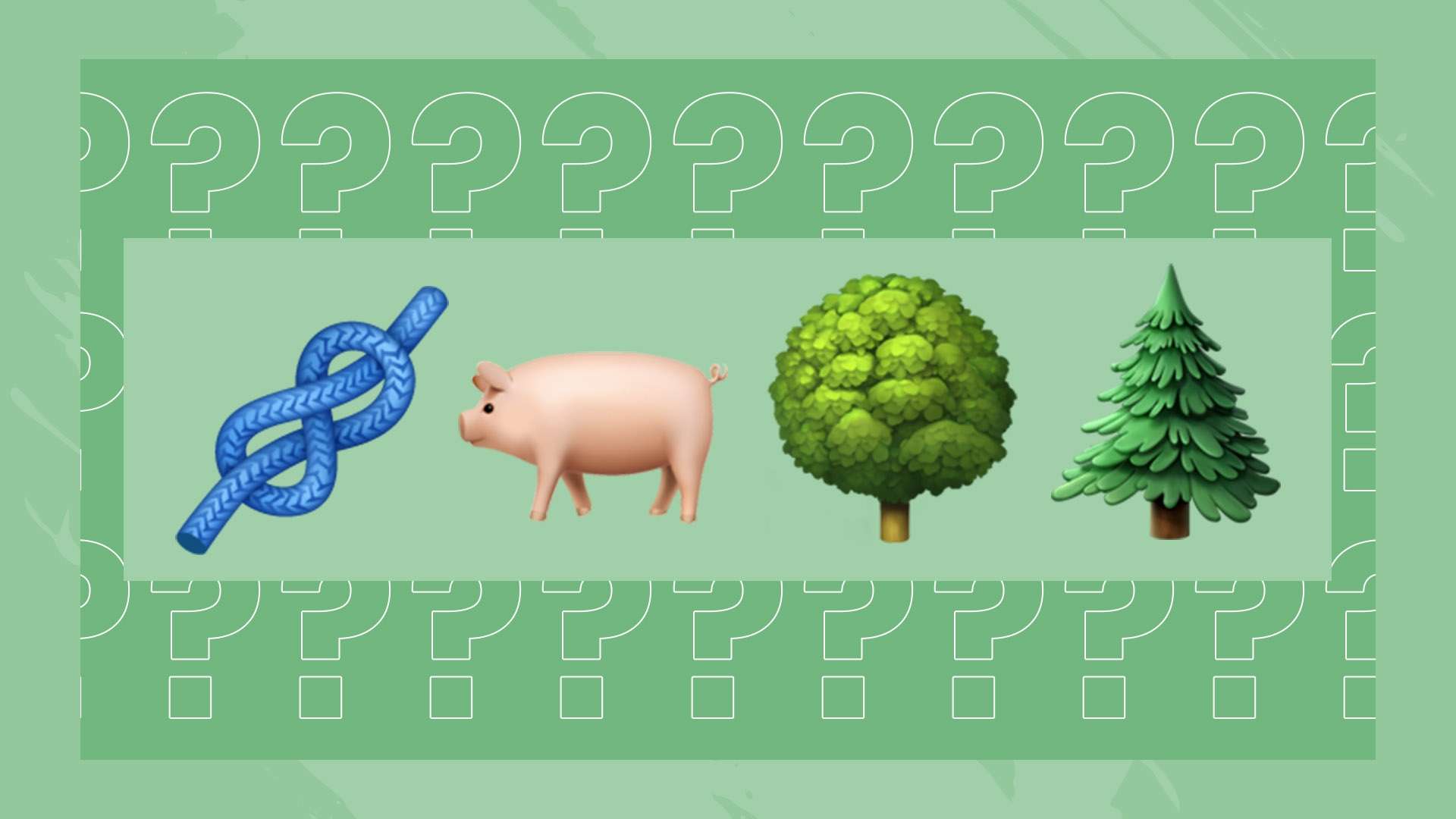 各队的表现 各队的表现